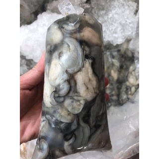 HÀU SỮA TÁCH SẴN