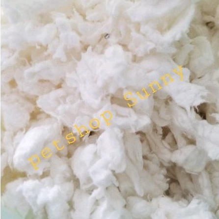 (Chiết) Giấy lót chuồng Jonsanty, Chipsi, Happy cho hamster