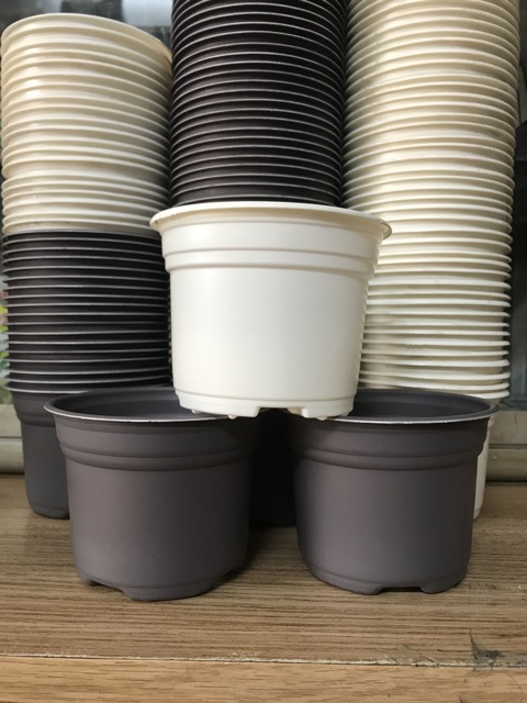 COMBO 10 chậu nhựa mềm ( trồng sen đá, xương rồng ) màu ngẫu nhiên