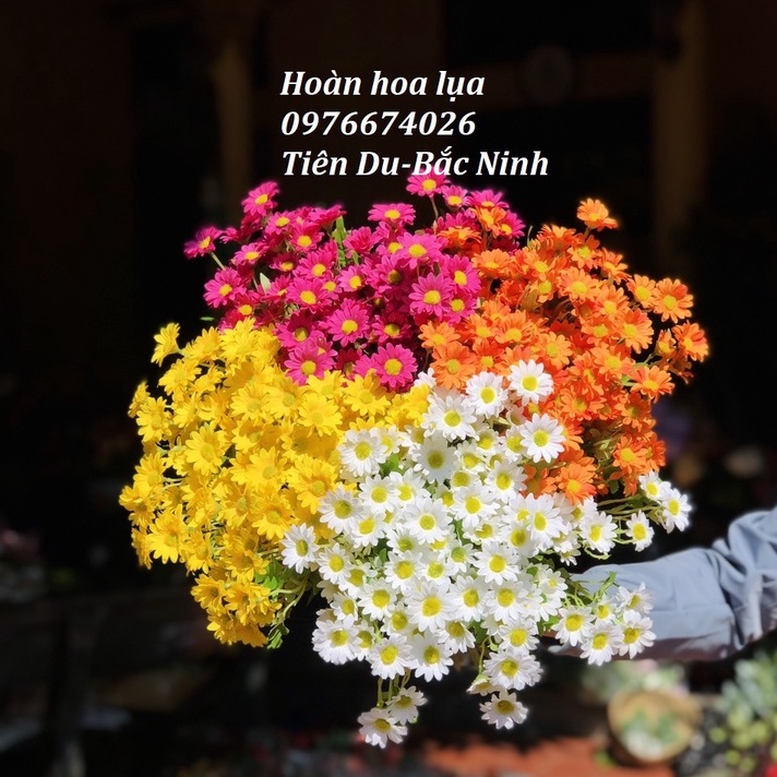 Hoa Cúc Hoạ Mi Đẹp Dịu Dàng, Phù Hợp Cắm Giỏ Cói, Cắm Bình, Hoa Cầm Tay Cực Đẹp_Hoàn Hoa Lụa