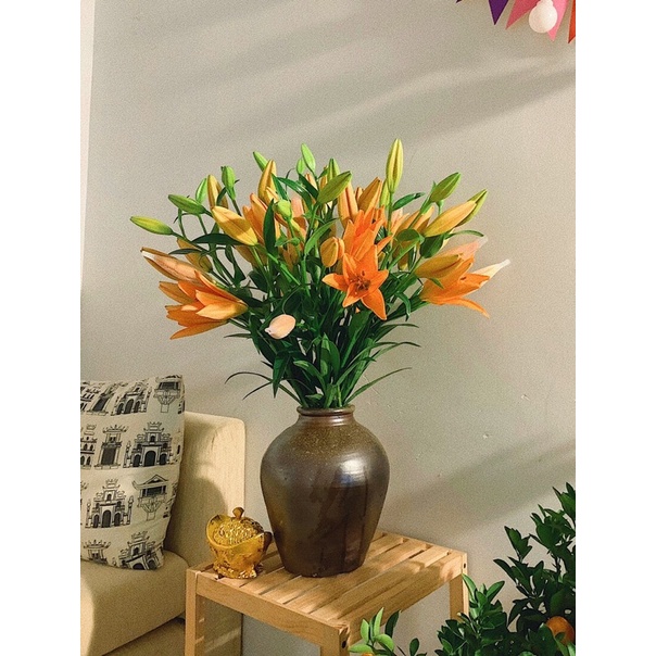 Bình gốm dáng chum to