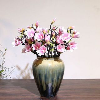 Hoa mộc lan cao cấp
