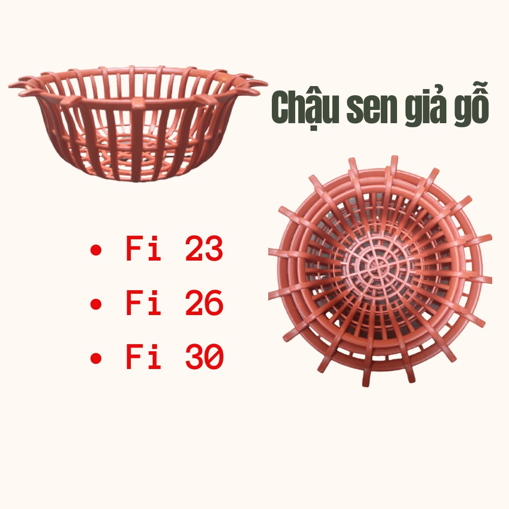 Chậu trồng lan dáng sen đủ size