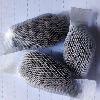 Phân Hữu Cơ Cho Hoa Lan