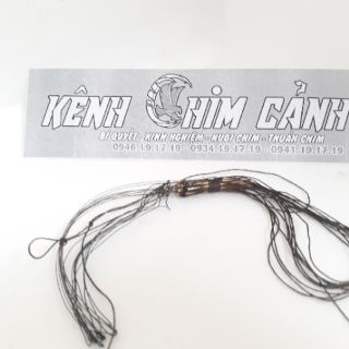 Bẫy chim cu cao cấp x10 giò/ bộ sp