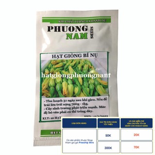 10 H - HẠT GIỐNG BÍ NỤ