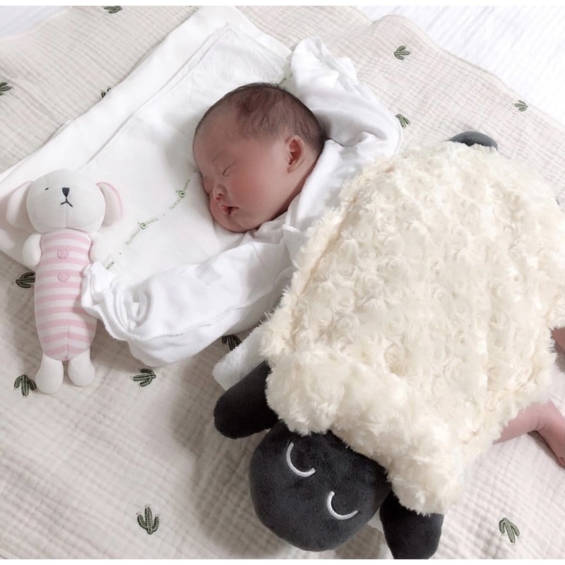 GỐI CHẶN CỪU CHỐNG GIẬT MÌNH GOOD NIGHT BABY HÀN QUỐC