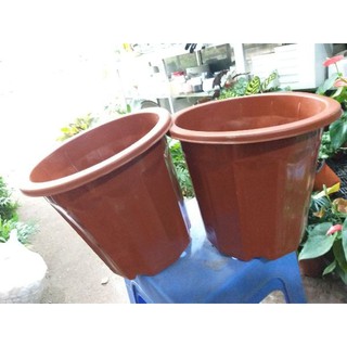 Combo 5 chậu nhựa E300 Trồng Cây