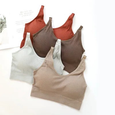 Áo Quây Ngực Chữ U Một Màu Thời Trang Cho Nữ | BigBuy360 - bigbuy360.vn