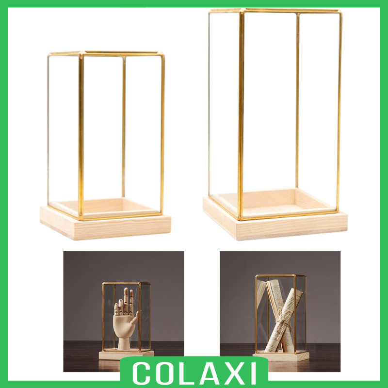 [COLAXI]Glass Display Case Decorative Cuboid Antique Artwork Showcase Terrarium