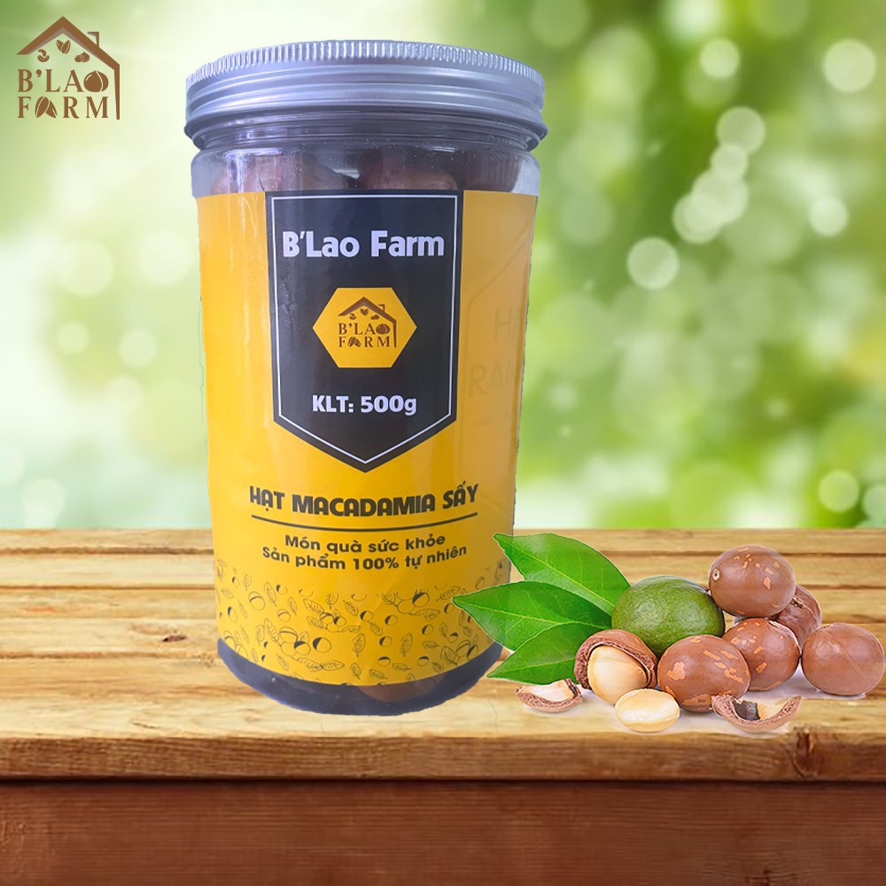 Macca sấy Tây Nguyên | BigBuy360 - bigbuy360.vn