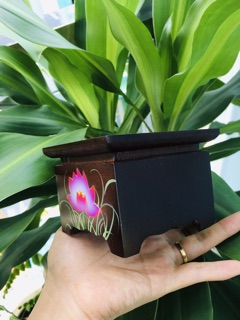 Đôn gỗ vuông kê tượng ( 10 cm - 12 cm - 15cm )