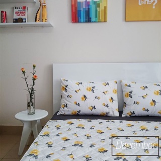 Chăn drap gối nệm hàn quốc