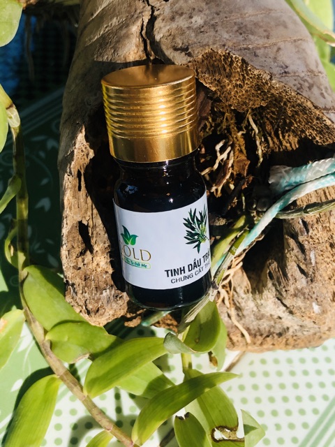 TINH DẦU TRÀM GOLD • MẸ VUI, BÉ KHOẺ | Mamy Gold
