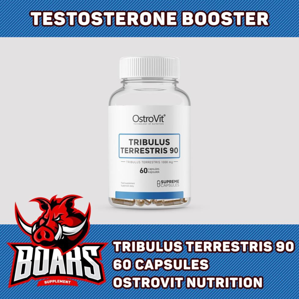 TRIBULUS TERRESTRIS 90 - THỰC PHẨM SỨC KHỎE, TĂNG CƯỜNG SỨC MẠNH CƠ BẮP, KHẢ NĂNG ĐÀN ÔNG (60 VIÊN)