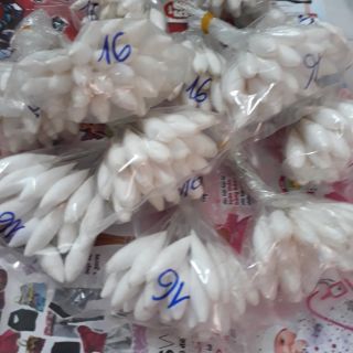 Nụ gòn 40cm 16k 25nụ
