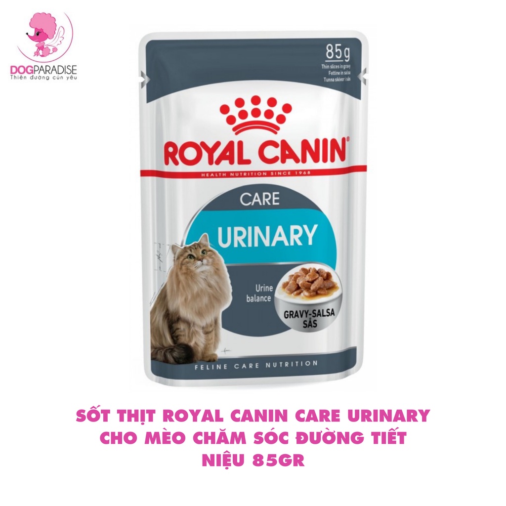 Sốt thịt Royal Canin Care Urinary cho mèo hỗ trợ đường tiết niệu 85gr - Dog Paradise