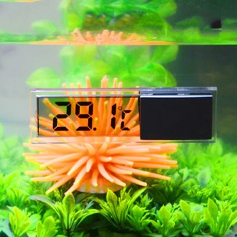 Màn Hình LCD Kỹ Thuật Số Không Dây Cho Bể Cá Terrarium