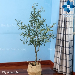 CÂY GIẢ 🌺 CÂY Ô LIU Cao 1,3M VÀ 1,6M CÓ QUẢ