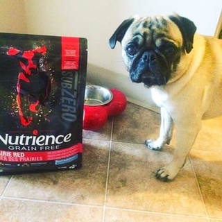 Hạt Nutrience SubZero Cho Chó Mọi Lứa Tuổi - Gà, Cá Hồi & Rau Củ Quả
