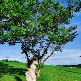 [Sẵn S] Váy bồng công chúa có ảnh thật