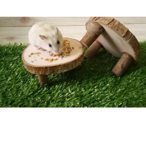 Tấm lót chuột hamster bằng gỗ | Gỗ tự nhiên chất lượng cao | Phụ kiện lồng nuôi chuột hamster chuyên dụng