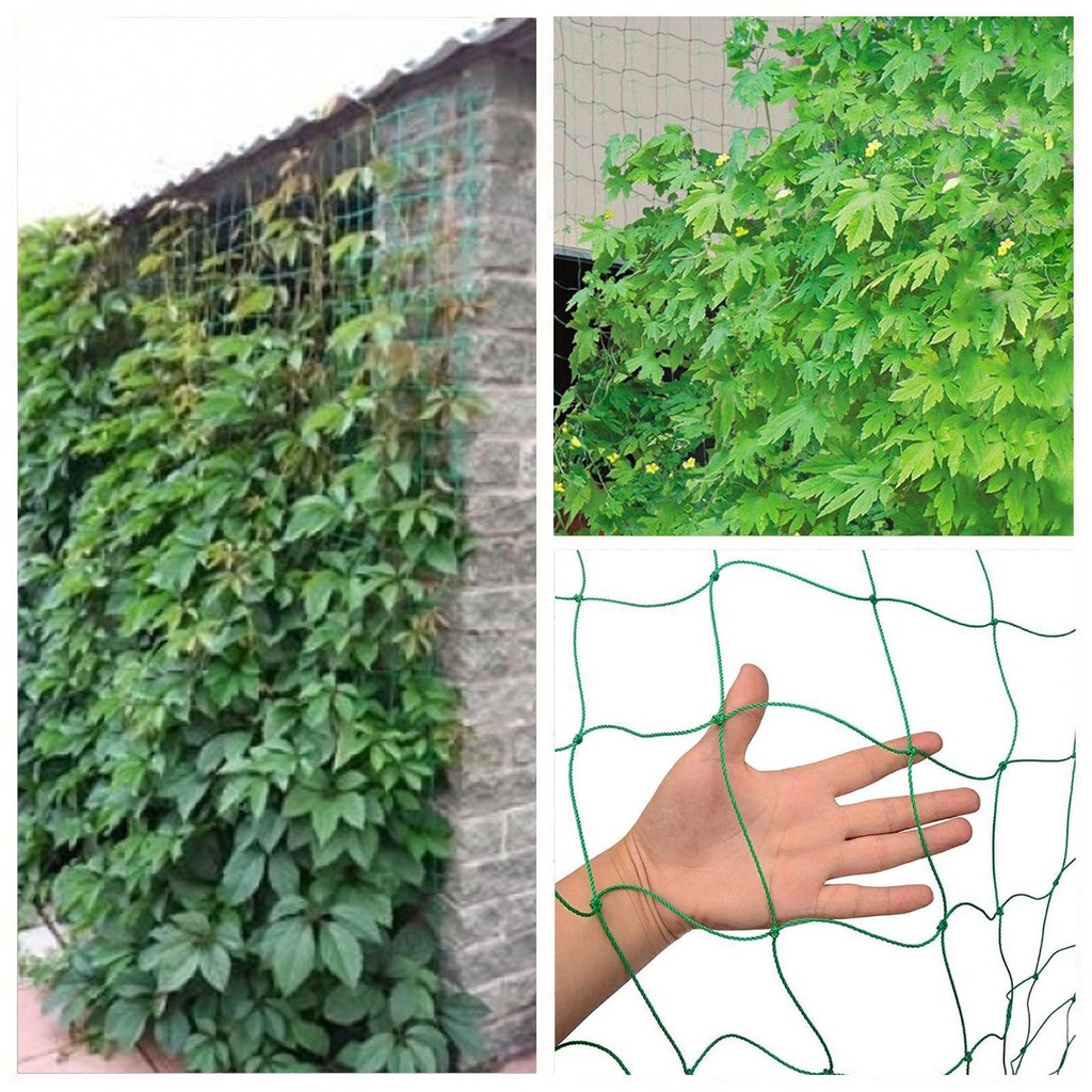 Lưới Trồng Cây Dây Leo Chống Chim / Côn Trùng Mới