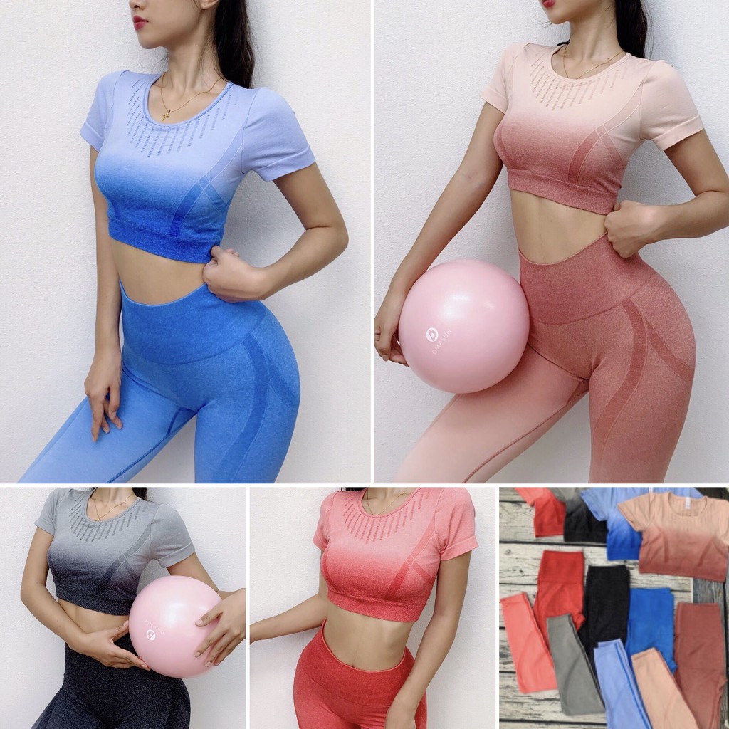 Đồ tập gym nữ, set bộ dệt kim ombre áo crop kèm mút quần dài cao cấp Bin Sports BD049