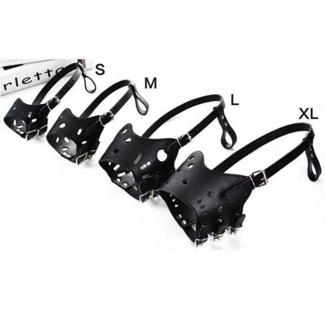 Khớp mỏ da cho chó