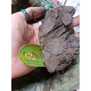 1kg Bùn Sạch Độ Ẩm 30-50% Trồng Hoa Sen, S.úng, Củ Ấu, Cây Thủy Sinh, Mùn Cao