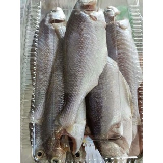 Khô cá lù đù 1 nắng nhà làm