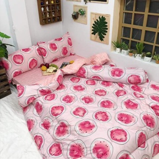 set phao poly nhập