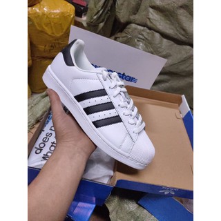 Giày thể thao mũi sò super stars trắng