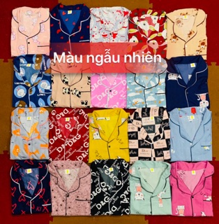Bộ kate Thái loại 1 Cộc Dài