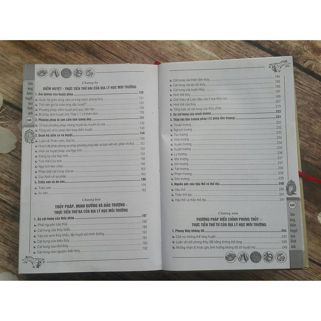 Sách - Tầm Long Điểm Huyệt Qua Hình Ảnh Gigabook | BigBuy360 - bigbuy360.vn