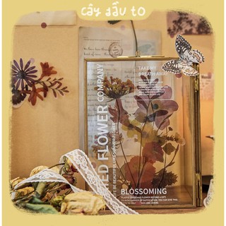Bộ 6 Hình Dán Nhựa Trang Trí Kiểu Hoa Khô Blossoming PET Sticker