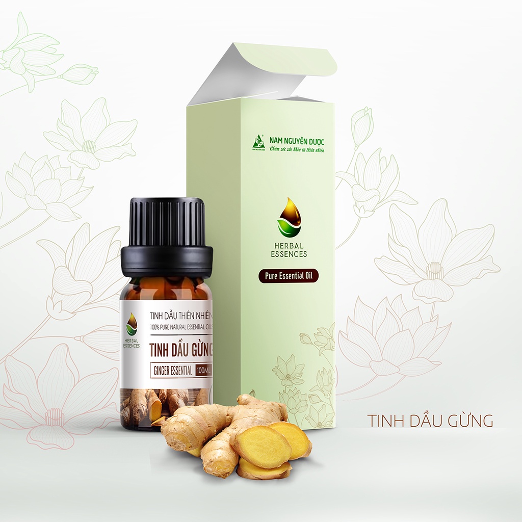 Tinh dầu Gừng nguyên chất - Ginger Essential (10ml) NAM NGUYÊN DƯỢC