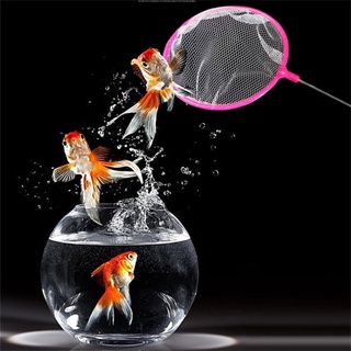 VỢT LƯỚI  Vớt Cá Loại Nhỏ