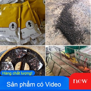 COMBO 2 TÚI DIỆT RUỒI MUỖI- Thuốc diệt ruồi, muỗi hiệu quả vượt trội