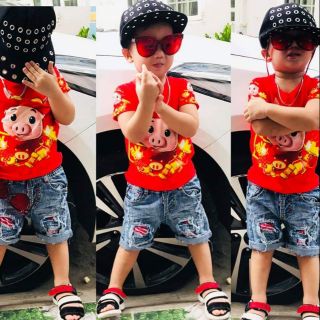 Mẫu heo vàng đón xuân 2019
