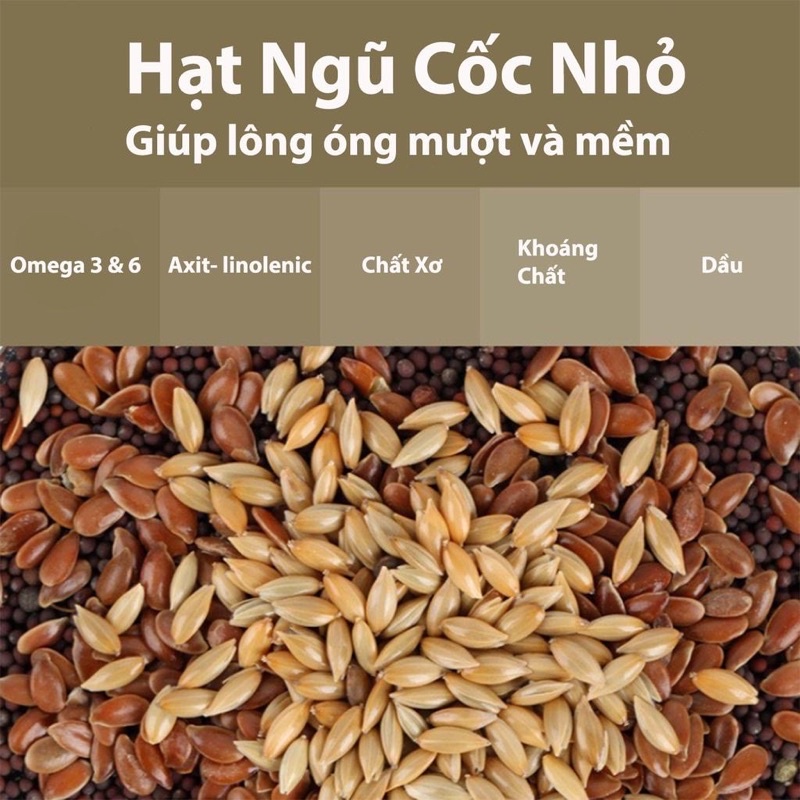 Trộn cao cấp H1 chính hãng Bucatsatge vỗ béo hamster