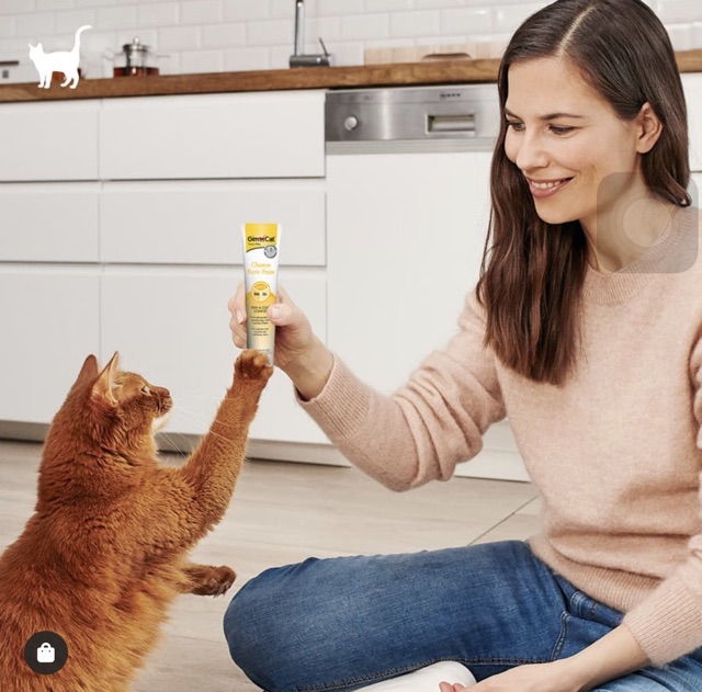 [𝐆𝐢𝐚́ 𝐡𝐮𝐲̉ 𝐝𝐢𝐞̣̂𝐭] Gimcat Gel ding dưỡng Vitamin tăng hệ miễn dịch cho mèo mọi lứa tuổi tuýp 50GR , 200GR