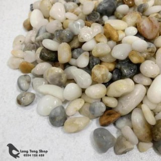 Sỏi suối tự nhiên ( chọn size )