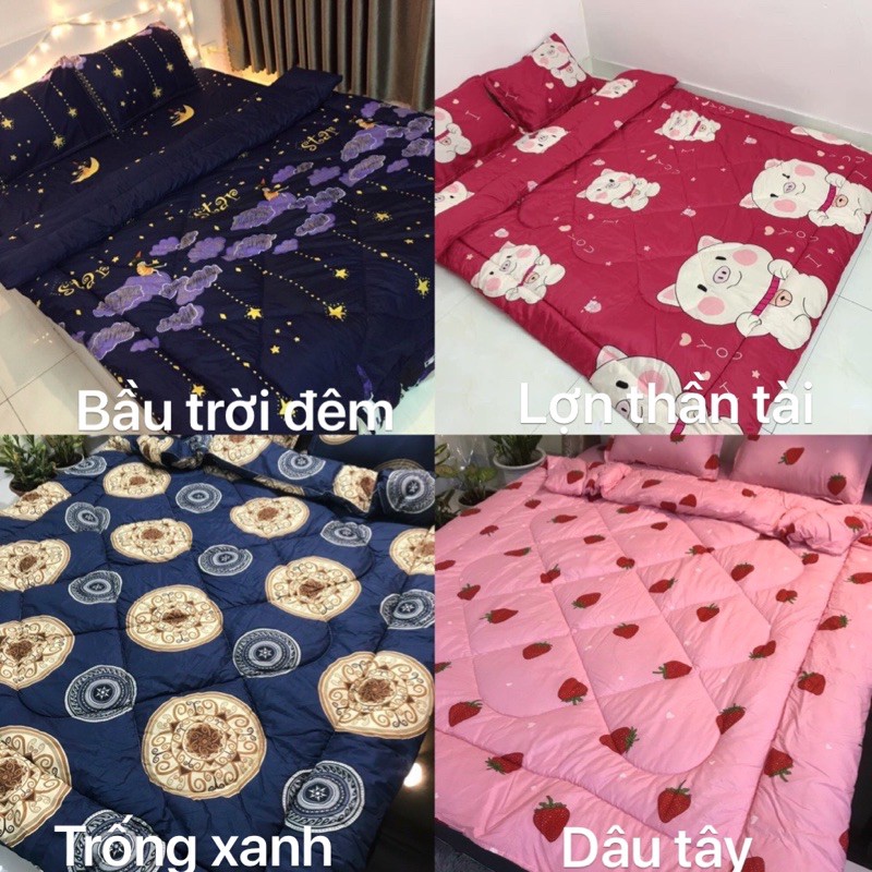 Lẻ 1 chăn phao phồng cotton poly loại dày