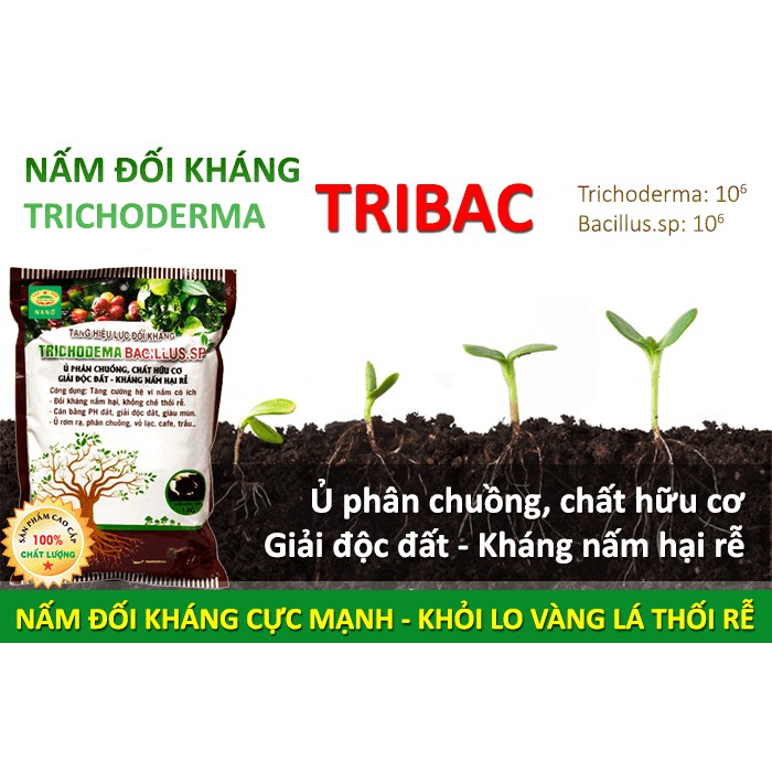 NẤM ĐỐI KHÁNG TRICHODERMA BACILLUS - GÓI 1KG