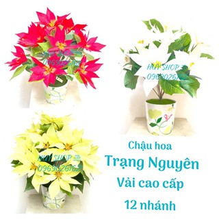 Chậu hoa TRẠNG NGUYÊN 12 nhánh vải cao cấp trang trí nhà cửa
