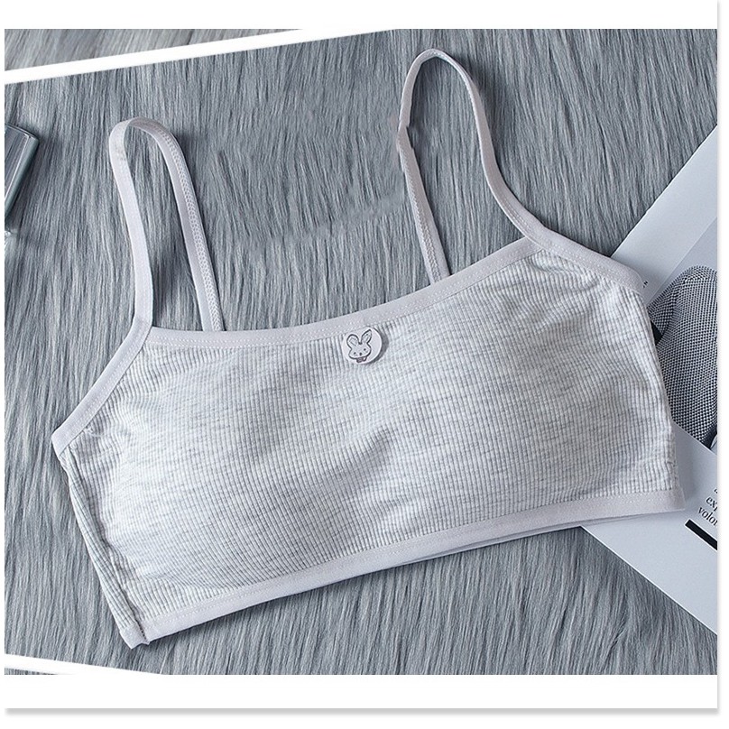 Áo lót bé gái học sinh tuổi dậy thì loại đẹp - Đệm mút mỏng tháo rời - ao lot be gai hoc sinh tuoi day thi | BigBuy360 - bigbuy360.vn