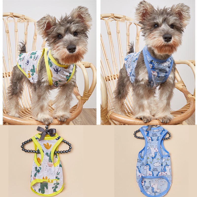 Áo chống nắng thoáng khí đáng yêu cho thú cưng