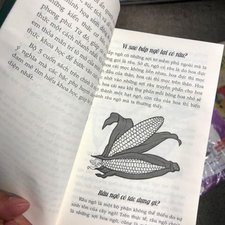 Sách 10 Vạn Câu Hỏi Vì Sao: Vũ Trụ Kỳ Bí, Thực Vật, Động Vật, Cơ Thể Người, Bí Ẩn Quanh Ta (Bộ 5 cuốn)