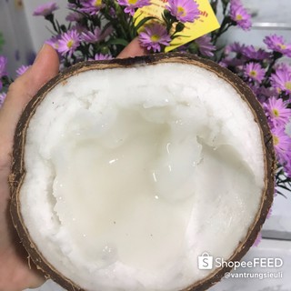 Dừa sáp Trà Vinh loại 1 (trái 1,4kg-1,6kg)